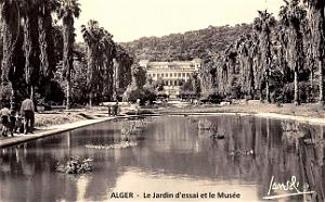Alger - Le Jardin d'essai et le Musee
